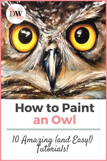 Draw An Owl Easy, Pictures Of Owls To Paint, Fall Owl Painting, Painted Owls On Wood, Owl Watercolor Paintings Easy, How To Paint An Owl, Owl Paintings On Canvas Easy, Owl Painting Easy, Easy Owl Painting