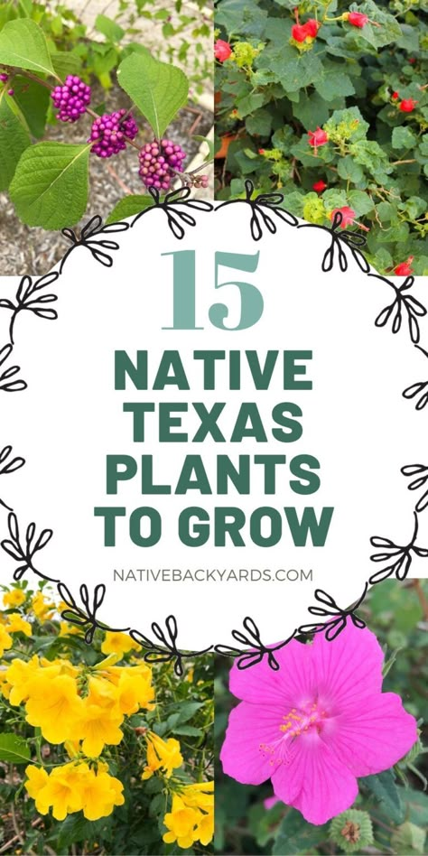 These gorgeous Texas native plants are not only beautiful they are low maintenance and easy to grow in your yard! Texas Native Plants Landscaping, Native Plants Landscaping, Native Shade Plants, Native Texas Plants, Plants Names, Native Plant Landscape, Texas Landscaping, Native Landscaping, Xeriscape Landscaping