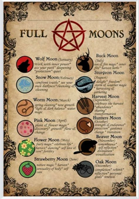 Witch Spell Book Aesthetic, Witch Craft Symbols, Spell Book Aesthetic, Witch Craft Aesthetic, Book Of Shadows Aesthetic, Witchery Aesthetic, Witch Journal Ideas, Kartu Tarot, Moon Chart