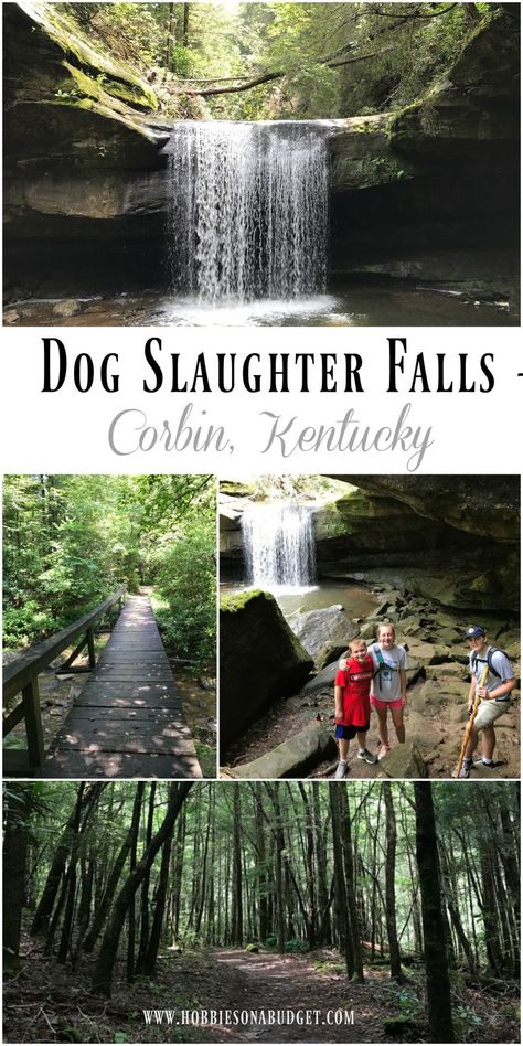 One of the most beautiful waterfalls in Kentucky - Dog Slaughter Falls – Corbin, KY Visit Kentucky, Kentucky Hiking, Travel Kentucky, Corbin Ky, Corbin Kentucky, Vacay Spots, Central Kentucky, Kentucky Attractions, Kentucky Vacation