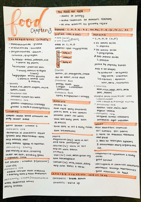 #neathandwriting #aestheticnotes #prettynotes #biologynotes #food #biomolecules Food Tech Gcse Revision Notes, Food Technology Study Notes, Food Tests Biology, Food Tech Revision Notes, Food Technology Aesthetic, Food Science Aesthetic, Gcse Food Tech, Speech Therapy Activities Elementary, Nutrition Notes