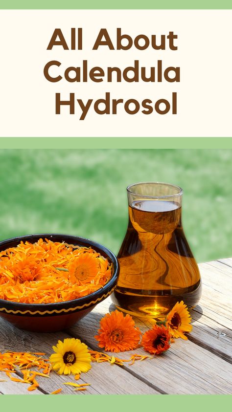 Calendula Skin Benefits, Hydrosol Diy, Hydrosol Uses, Hydrosol Recipes, Garden Preservation, Anti Acne Skin Care, Green Roots, Oily Skin Remedy, Diy Serum