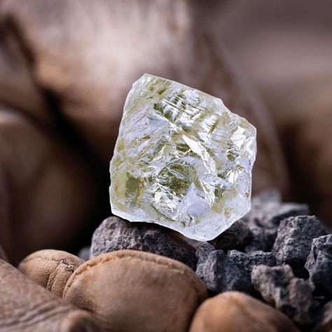 Expensive Diamond, Diamond Mines, Ethical Jewelry, Minerals And Gemstones, Rocks And Gems, Raw Diamond, Rough Diamond, Gems And Minerals, Botswana