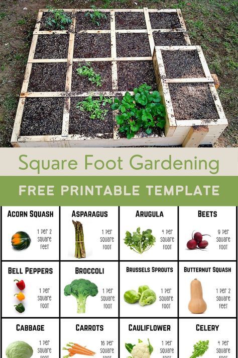 square foot garden and free printable template pin for pinterest Garden Planning Template, Square Foot Gardening Plans, Veggie Garden Layout, Square Foot Gardening Layout, Garden Grid, Square Foot Garden, Vegtable Garden, Raised Garden Bed Plans, Homesteading Ideas