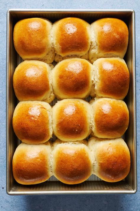 Sourdough Discard Dinner Rolls | The Dinner Bell Taste Of Lizzy Sourdough Rolls, Parker House Rolls Made With Sourdough, Sourdough Rolls Same Day, Bridgeford Rolls Recipes, Joanna Gaines Dinner Rolls, Sourdough Dinner Rolls With Yeast, Discard Bread Bowls, Sour Dough Dinner Roll Recipe, Sourdough Hard Rolls