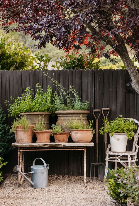 Pot Vegetable Garden, Herbs In Pots, Grow Food, Landscape Designer, Side Garden, French Garden, Courtyard Garden, Veggie Garden, Growing Food