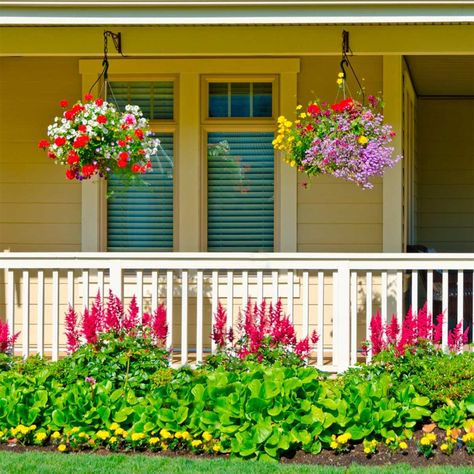 Front Porch Landscaping Ideas, Front Porch Landscape, Front Porch Garden, Front Porch Flowers, Summer Planter, Porch Landscaping, Porch Flowers, Flower Baskets, Small Front Porches