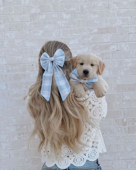 Pale Blue 1" gingham dog bow and matching human hair bow! Normal bow is approx 14cm x 10 cm, attached to dog collar with 12mm elastic Sailor Bow is 13 x 14 cm - Please let me know if you would like a smaller size! Attaches to collar with 18mm Elastic. Hair Sailor Bow is approx 12x8 cm with 7/8inch ties!attached to hair with 45mm alligator clips Hair Of The Dog, Dog Match, Spoiled Dogs, Cute Dog Clothes, Dog Suit, Dog Business, Puppy Accessories, Cute Dog Collars, Sailor Bow