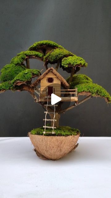 Creative Tree Decorating Ideas, Moss Tree Diy, Easy Diorama Ideas, Coconut Craft Ideas, Craft With Coconut Shell, Wealth Out Of Waste Craft Ideas, Fairy Garden Crafts Diy, Coconut Shell Crafts Diy, Wealth From Waste