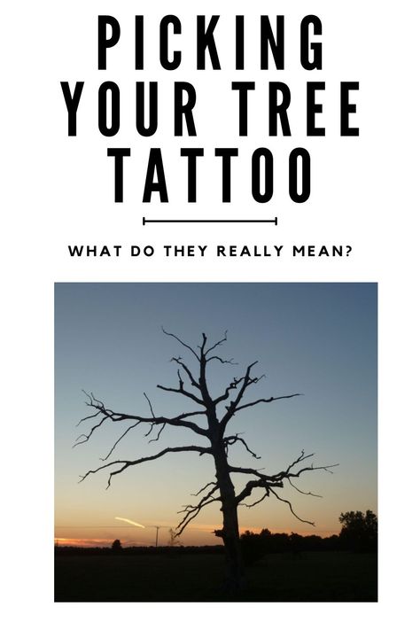 Check out a quick visual guide to see tree tattoos and their meanings. Full Back Tree Tattoo Women, Thigh Tree Tattoo, Tree Branch Tattoos For Women, Oak Tree Leaf Tattoo, Ash Tree Tattoo, Sequoia Tree Tattoo, Poison Tree Tattoo, Maple Tree Tattoo, Tree Tattoos For Women