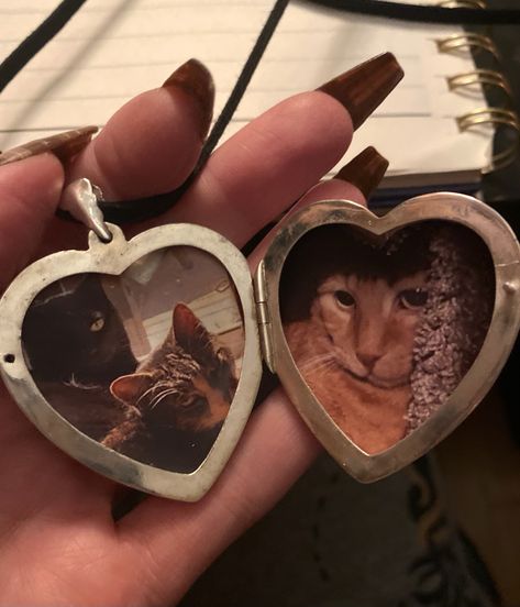 #aesthetic #accessories #necklace #locket #cats #heartlocket #cute Locket Necklace Aesthetic, How Lucky I Am, Necklace Locket, Necklace Aesthetic, Picture Locket, Aesthetic Accessories, How Lucky Am I, Love Aesthetic, Necklace For Girlfriend