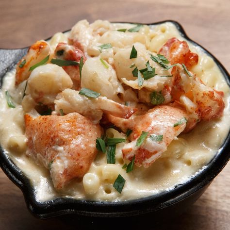 Lobster Mac and Cheese by Alex Guarnaschelli Lobster Mac And Cheese Recipe, Lobster Mac N Cheese, Lobster Mac N Cheese Recipe, Alex Guarnaschelli, Worst Cooks, Lobster Dishes, Lobster Mac, Lobster Mac And Cheese, Fish Shop