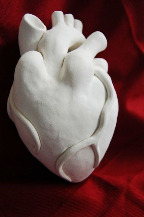 Modeling Clay Ideas Aesthetic, Clay Art Ideas Sculpture, Clay Ideas Aesthetic, Heart Crafts For Kids, Modeling Clay Ideas, Anatomical Heart Art, Heart Clay, Clay Hearts, Aesthetic Heart