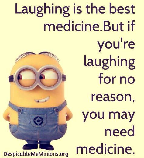 Minion Humour, Minions Images, Minion Memes, Minions Humor, Funny Minion Pictures, Funny Minion Memes, Barbie Quotes, Minion Pictures, Minion Jokes