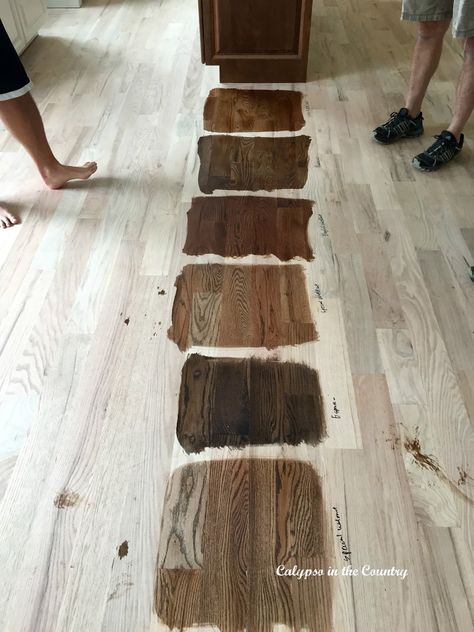 Renovation Progress – Major Developments and Floor Stain Choices Stain Hardwood Floors, Wood Floor Stains, Hardwood Floor Stain Colors, Oak Floor Stains, Wood Floor Stain Colors, Floor Stain Colors, Minwax Stain Colors, Wood Floor Colors, Red Oak Floors