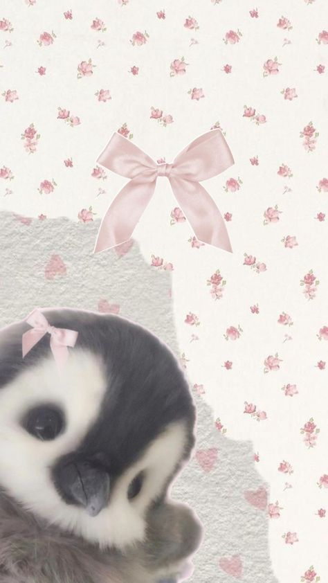 Pink Kitty Wallpaper, Pink Wallpaper Ipad, Japanese Wallpaper Iphone, Coquette Wallpaper, Pink Flowers Wallpaper, Pink Wallpaper Backgrounds, Wallpaper Doodle, Cover Wallpaper, Pretty Phone Wallpaper