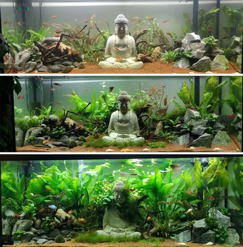 Aquarium Setup Ideas, Cool Fish Tank Decorations, Aquarium Diy, Aquascape Ideas, Tank Terrarium, Fish Tank Themes, Amazing Aquariums, Fish Tank Terrarium, Cool Fish Tanks