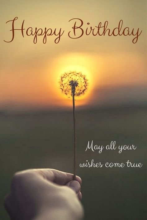 Happy birthday. May all your wishes come true. #dandelion puff #sunrise #sunset जन्मदिन की शुभकामनाएं, Cool Happy Birthday Images, Funny Happy Birthday Images, Best Birthday Quotes, Happy Birthday Beautiful, Happy Birthday Wishes Quotes, Happy Birthday Wishes Cards, Birthday Wishes And Images, Happy Birthday Meme