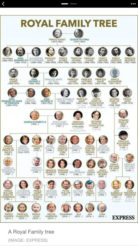 British Royal Family Tree, Kings And Queens Of England, Royal Family History, Queen Elizabeth Photos, Royal Family Tree, Royal Family Trees, Royal Family Pictures, English Royal Family, British Family