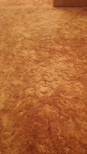 Basememt carpet, harvest gold 70s. 2014 to be replaced 70s Room, 60s House, Orange Carpet, Caravan Interior, Retro Room, Shag Carpet, Harvest Gold, Entertainment Room, Mini House