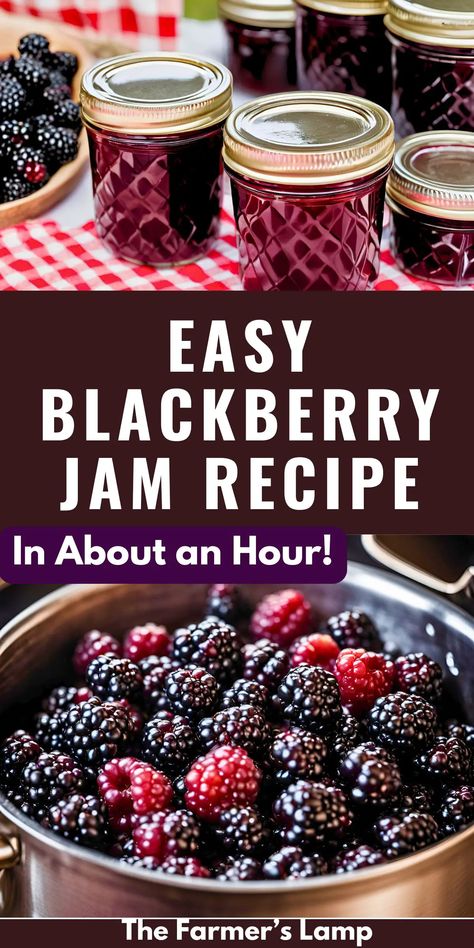 Easy Blackberry Jam Recipe • The Farmer's Lamp Blackberry Jam Canning Recipe, How To Make Blackberry Jam, Easy Jam Recipes, Jam Canning Recipes, Jam Recipes For Canning, Easy Blackberry Jam, Jams And Jelly Recipes, Blackberry Jam Recipe, Homemade Jam Recipes