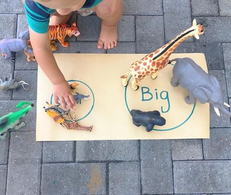 Forest Math Activities Preschool, Leopard Activities For Preschool, Wild Animals Preschool Activities, Sen Activities, Zoo Activities Preschool, Animal Sorting, Kindergarten Measurement, Opposites Preschool, Zoo Lessons