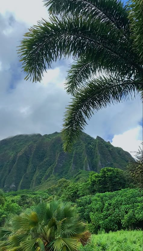 photography of the mountain and greenery background Places In Hawaii To Visit, Island Nature Aesthetic, Hawaii Mountains Aesthetic, Summer Aesthetic Hawaii, Living In Hawaii Aesthetic House, Hawaii Widgets, Hawaii Pfp, Island Vibes Aesthetic, Hawaii Astethic