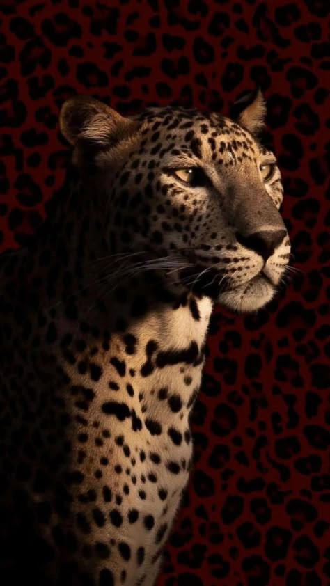 Red Leopard Print Wallpaper, Line Animals, Red Jaguar, Leopard Print Wallpaper, Black Cat Aesthetic, Iphone Wallpaper Music, Iconic Wallpaper, Coffee Wallpaper, Wallpaper Iphone Neon