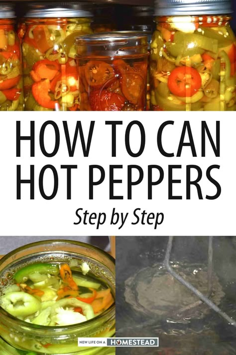 Canning Green Peppers And Onions, Pressure Canning Tamales, How To Preserve Green Bell Peppers, Canned Bell Peppers, What To Do With Bell Peppers Ideas, Canned Cayenne Peppers, Canning Green Bell Peppers, Can Peppers Recipes, Green Pepper Canning Ideas