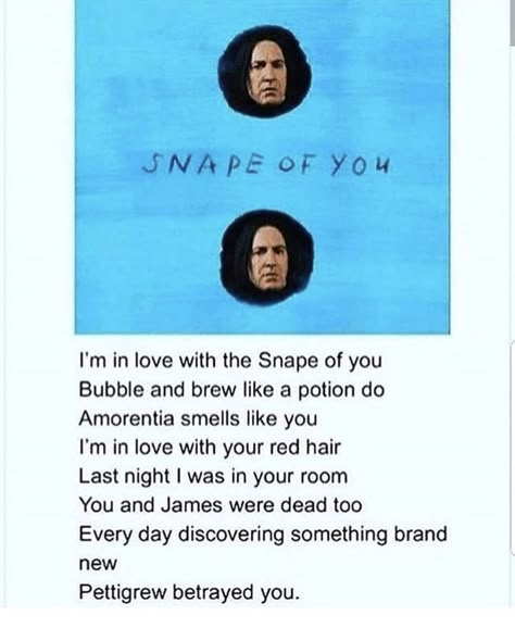 Harry Potter Song, Citate Harry Potter, Glume Harry Potter, Funny Harry Potter Jokes, Severus Rogue, Harry Potter Memes Hilarious, Memes Love, Harry Potter Puns, Funny Harry Potter