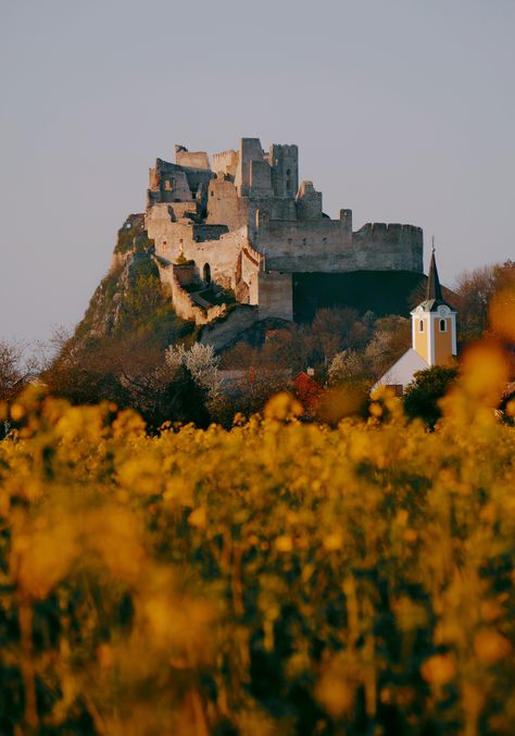 Ruins of Beckov Castle Slovakia Castle Estate, Field Landscape, Fields Of Gold, Castle Ruins, Landscape Nature, Bratislava, Hiking Trip, Slovakia, Travel Bucket List