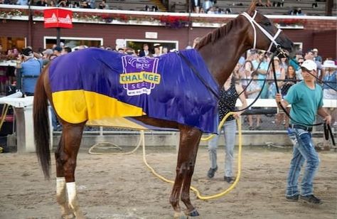 Highland Falls joins top 10 in Breeders’ Cup Classic rankings City Of Troy, Preakness Stakes, American Pharoah, Belmont Stakes, Breeders Cup, Jockey Club, Dubai World, University Of Louisville, Thoroughbred Horse