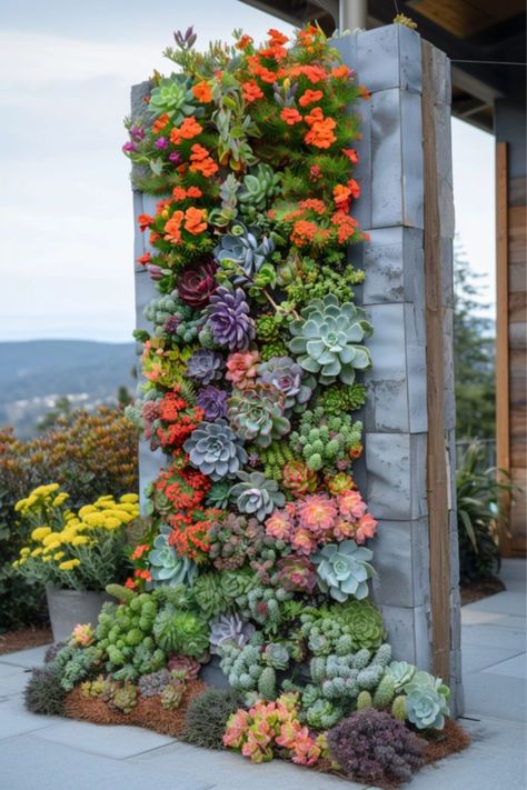 Hanging Succulents Outdoor, Cascading Succulents, Interior Green Wall, Hippie Garden Ideas, Succulent Wall Garden, Succulent Garden Landscape, Vertical Succulent Gardens, Artificial Green Wall, Casting Shadows