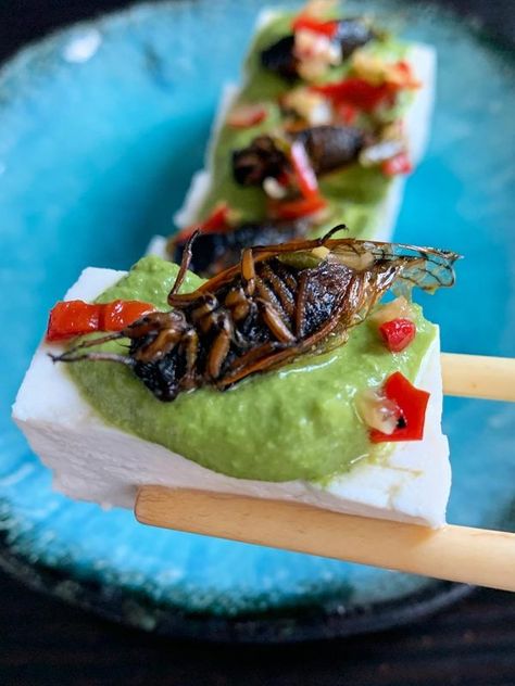 Cooking Insect-Based Dishes With Joseph Yoon - Atlas Obscura Experiences Edible Bugs, Weird Snacks, Edible Insects, Basic Kitchen, Course Meal, Sustainable Food, Star Wars The Clone Wars, Protein Pack, The Clone Wars