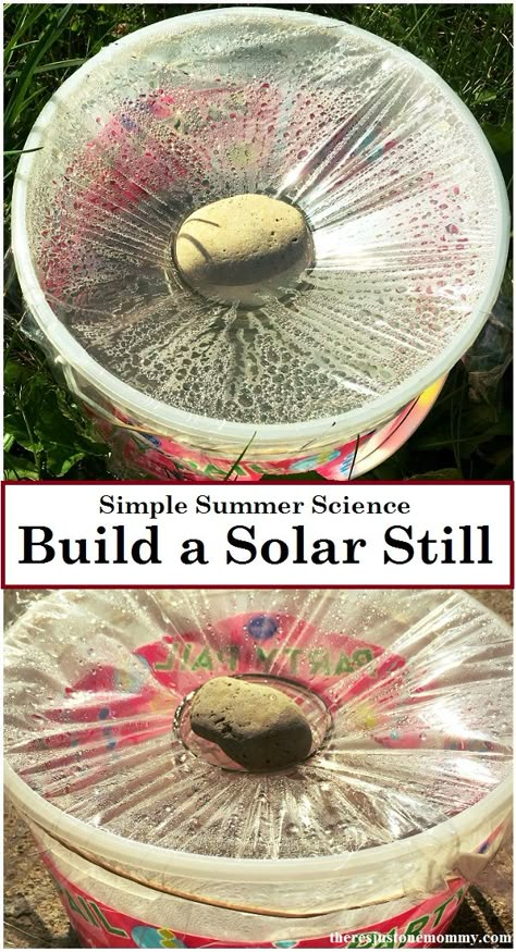 Looking for a simple science experiment to do with the kids? Find out how to make a solar still to purify water. survival skills, summer science, Summer Stem Activities, Kids Survival Skills, Summer Science Activities, Solar Still, Summer Stem, Summer Science, Survival Ideas, Easy Science Experiments, Emergency Preparation