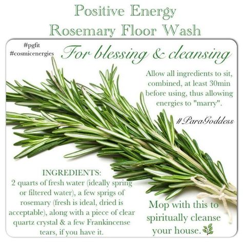 Rosemary Floor Wash for Blessing & Cleansing Ritual Space Celtic Witch, Magickal Herbs, Witch Herbs, Magia Das Ervas, Magic Herbs, Magical Home, Magical Herbs, Spiritual Cleansing, Herbal Magic