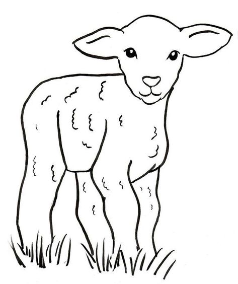 Baby Sheep Coloring Pages, from Animal Coloring Pages blogs #coloring #coloringpages #printable Lamb Drawing, Sheep Drawing, Sheep Face, Sheep Illustration, Funny Sheep, The Lost Sheep, Preschool Coloring Pages, Baby Sheep, Bible Coloring Pages