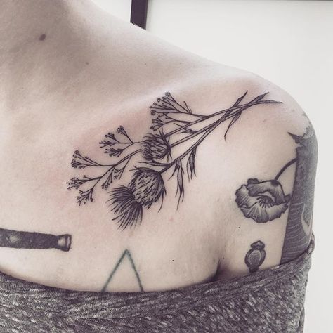 Scottish Thistle Tattoo, Scottish Tattoos, Thistle Tattoo, Collar Bone Tattoo, Fitness Tattoos, Unique Tattoo, Friend Tattoos, Baby's Breath, Skin Art