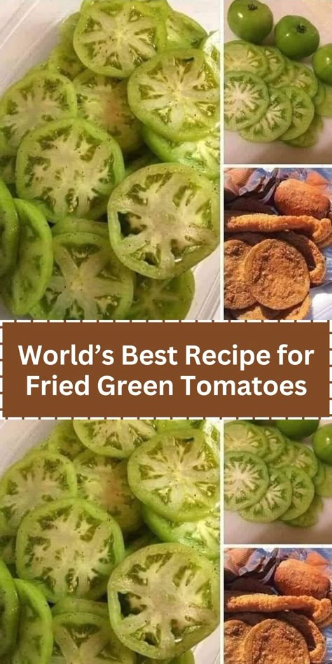 World’s Best Recipe for Fried Green Tomatoes Green Zebra Tomatoes Recipes, What To Eat With Fried Green Tomatoes, Airfryer Fried Green Tomatoes, Fried Green Tomato Salad, Friend Green Tomatoes Recipe, Air Fried Green Tomatoes Recipe, Air Fryer Green Tomatoes Recipes, Fry Green Tomatoes Recipe, How To Make Fried Green Tomatoes