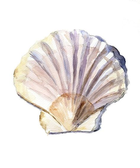 Shell Watercolor Painting Wall Art Print Sea shell by Zendrawing Shell Drawing, Art Plage, Art Coquillage, Marmont Hill, Seashell Art, Sea Art, Watercolor Inspiration, Shell Art, Beach Art