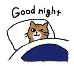 Good Night Meme Cute, Meme Good Night, Cat Good Night, Good Night Stickers, Goodnight Meme, Good Night Cute, Good Night Text, Good Night Meme, Good Night My Love