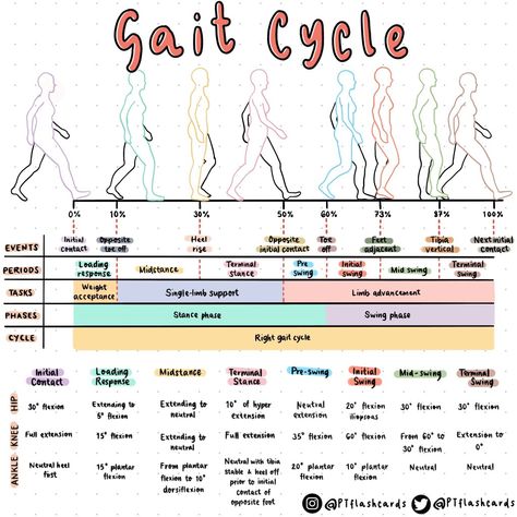 Physiotherapy Cheat Sheet, Exercise Physiology Notes, Physical Therapy Notes, Physical Therapy Assistant Aesthetic, Physical Therapy Student Study, Physiotherapy Notes, Physical Therapy Student Aesthetic, Physical Therapy Aesthetic, Kinesiology Major