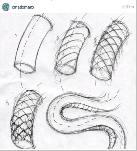 Python Head Drawing, Coiled Snake Drawing Reference, Ball Python Reference, Snake Art Tutorial, Snake Head Tutorial, Snake Body Reference, Snake Pose Reference, Snake Tail Drawing, Snake Scales Drawing Tutorial