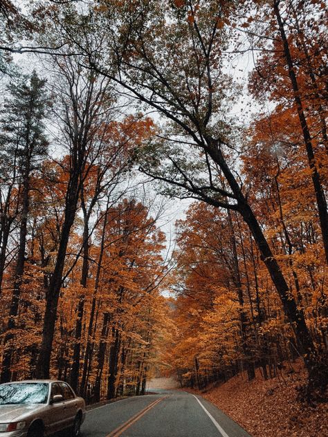 #fall #aesthetic #orange #fallfashion #falldecor #fallvibes #car #october #november #leaves November Leaves, Late November Aesthetic, Late Fall Aesthetic Wallpaper, Aesthetic November, October Aesthetic Month, Autumn Aesthetic Medium Widget, November Asethic, Autumn Car Aesthetic, Driving In Fall Aesthetic