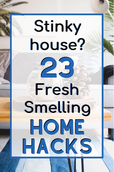 Life Hacks Iphone, House Smell Good, Homemade Cleaning Solutions, Diy Cleaning Hacks, Deep Cleaning Tips, Essential Oil Diffuser Blends, Household Cleaning Tips, House Smell, Cleaning Recipes