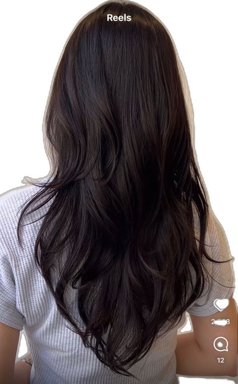 V Cut Hair, Haircuts For Long Hair With Layers, Brown Hair Inspo, Hair Inspiration Long, Cut Hairstyles, 80s Women, Cute Hairstyle, Hairstyles For Layered Hair, Long Dark Hair