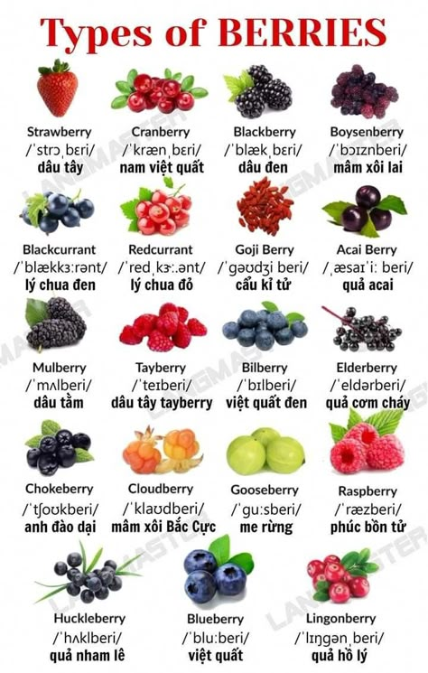 #FruitInspiredSyrupsandToppings Fruits And Vegetables List, Healthy Food Chart, Types Of Berries, Fruit Smoothie Recipes Healthy, Fruit List, Food Infographic, Food Charts, Fruit Carving, Food Info