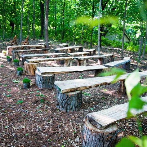 My camping area - bonfire area. Easy solution to seating problem....Rustic wooden benches for outdoor  seating... Wedding Bench, Wooden Benches, Rustic Wooden Bench, Deco Champetre, Tree Stumps, Enchanted Forest Wedding, Ceremony Seating, Camping Area, Tree Stump