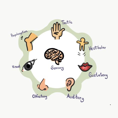 Sensory Processing & Attention Sensory Overload Illustration, 5 Senses Craft, Sensory Details, Sensory System, Sensory Overload, Sensory Integration, Sensory Stimulation, 5 Senses, Sensory Issues