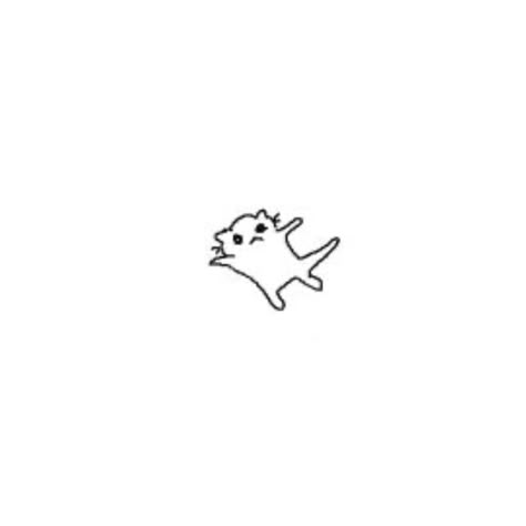 Doodle Cat Pfp, Cat Widgets Drawing, Drawn Cats Aesthetic, Drawn Cat Pfp, Cat Doodle Pfp, Funny Cat Doodles, Funny Cat Drawings, Drawn Pfp, Poorly Drawn Cats